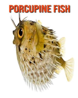 Book cover for Porcupine Fish