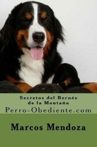 Cover of Secretos del Bernes de la Montana