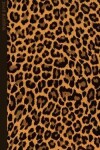 Book cover for Leopard Print