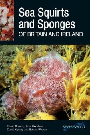Cover of Sea Squirts and Sponges of Britain and Ireland