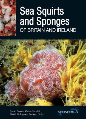 Book cover for Sea Squirts and Sponges of Britain and Ireland