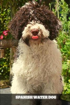 Book cover for Spanish Water Dog