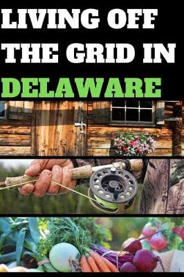 Book cover for Living Off the Grid in Delaware