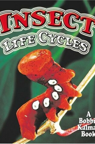 Cover of Insect Life Cycles