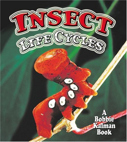 Book cover for Insect Life Cycles