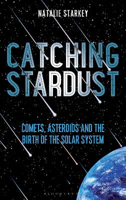 Book cover for Catching Stardust