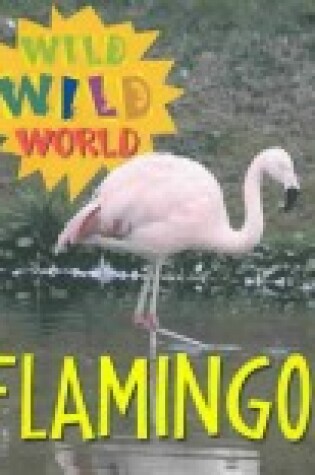 Cover of Flamingos