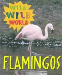 Cover of Flamingos