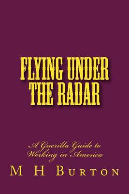 Book cover for Flying Under the RADAR
