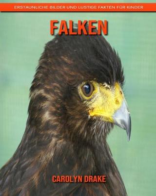 Book cover for Falken