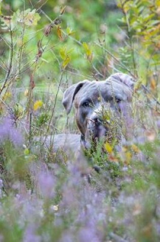 Cover of Cute Gray Pit Bull Dog Playing Hide-and-Seek in the Heather Journal