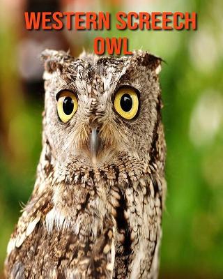 Book cover for Western Screech Owl