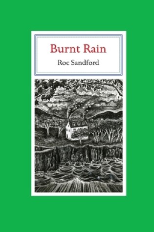 Cover of Burnt Rain