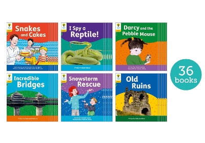 Cover of Oxford Reading Tree: Floppy's Phonics Decoding Practice: Oxford Level 5: Class Pack of 36