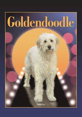 Book cover for Goldendoodle (Designer Dog Series)