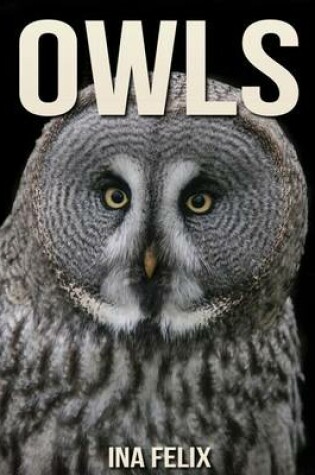 Cover of Owls