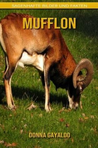 Cover of Mufflon