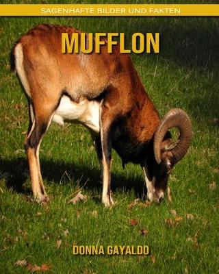 Book cover for Mufflon