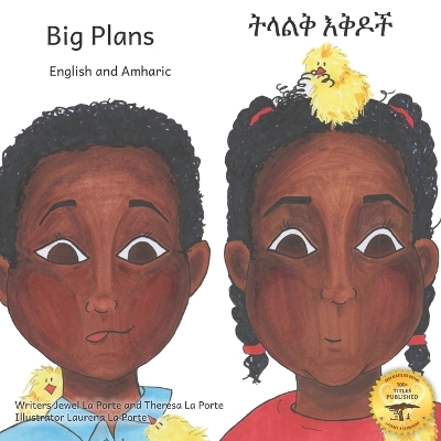 Book cover for Big Plans