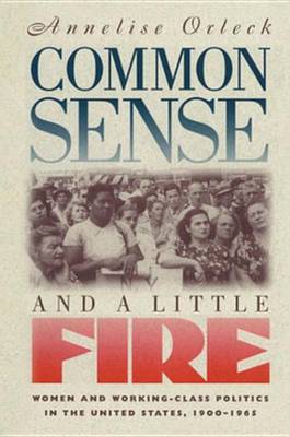 Book cover for Common Sense & a Little Fire