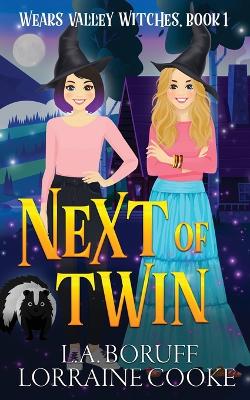 Book cover for Next of Twin