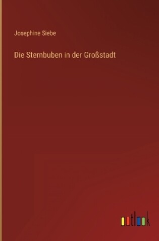 Cover of Die Sternbuben in der Großstadt