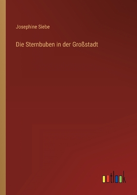 Book cover for Die Sternbuben in der Großstadt