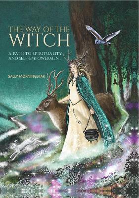 Book cover for The Way of the Witch