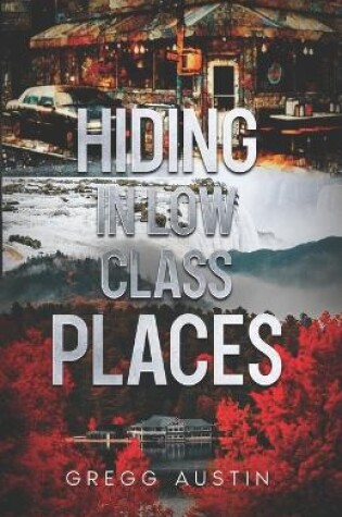 Cover of Hiding In Low-Class Places