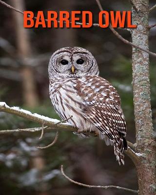 Book cover for Barred Owl