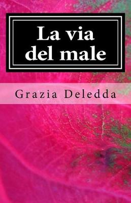 Book cover for La Via del Male