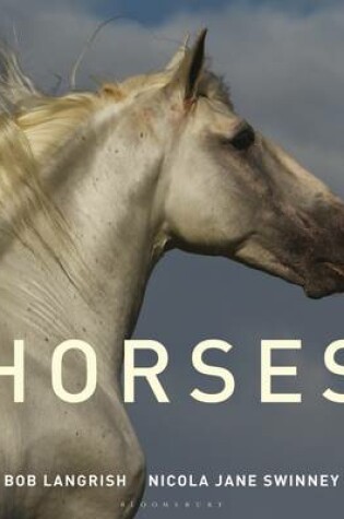 Cover of Horses of the World