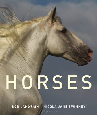 Book cover for Horses of the World