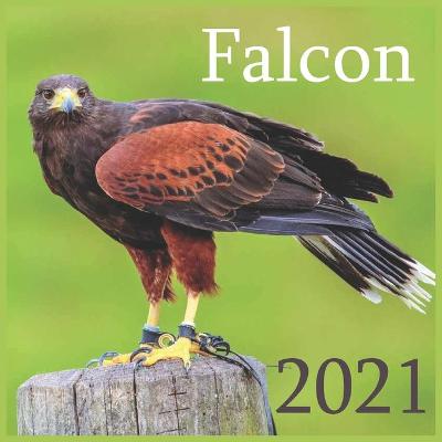 Book cover for Falcon