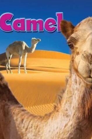 Cover of Camel