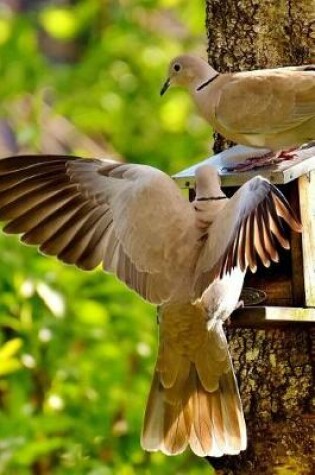 Cover of Doves at a Bird Feeder Journal