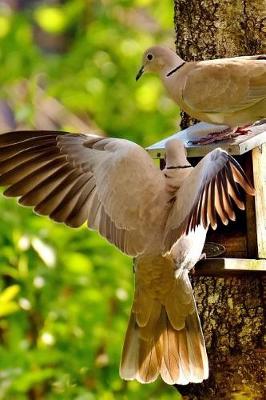 Book cover for Doves at a Bird Feeder Journal