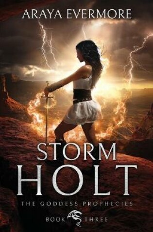 Cover of Storm Holt