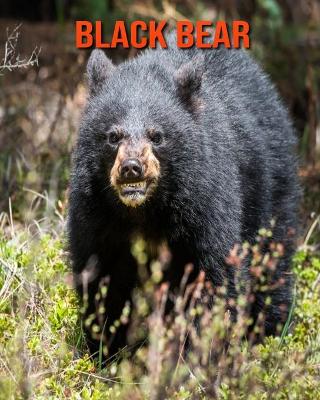 Book cover for Black Bear