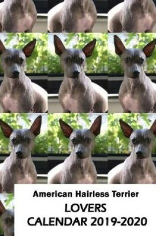 Cover of American Hairless Terrier Lovers Calendar 2019-2020