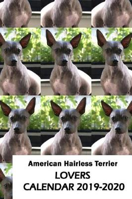 Book cover for American Hairless Terrier Lovers Calendar 2019-2020