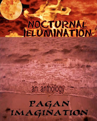 Book cover for Nocturnal Illumination