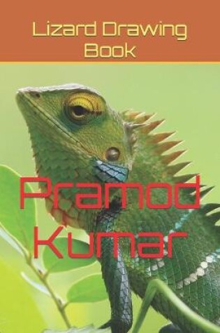 Cover of Lizard Drawing Book