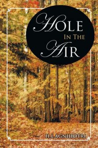 Cover of Hole in the Air