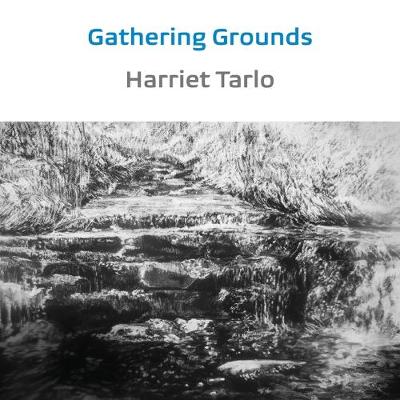 Book cover for Gathering Grounds