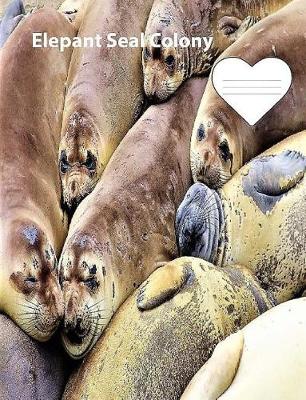 Book cover for Elephant Seal Colony on Cover collegeruledlinepaper Composition Book