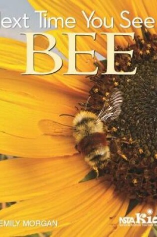 Cover of Next Time You See a Bee