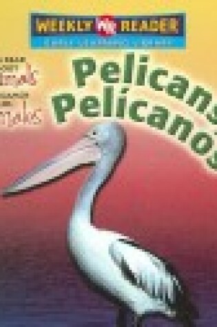 Cover of Pelicans / Pelícanos