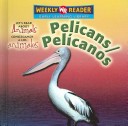 Book cover for Pelicans / Pelícanos