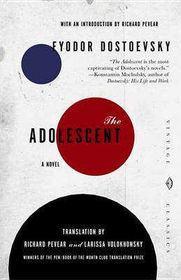 Book cover for The Adolescent